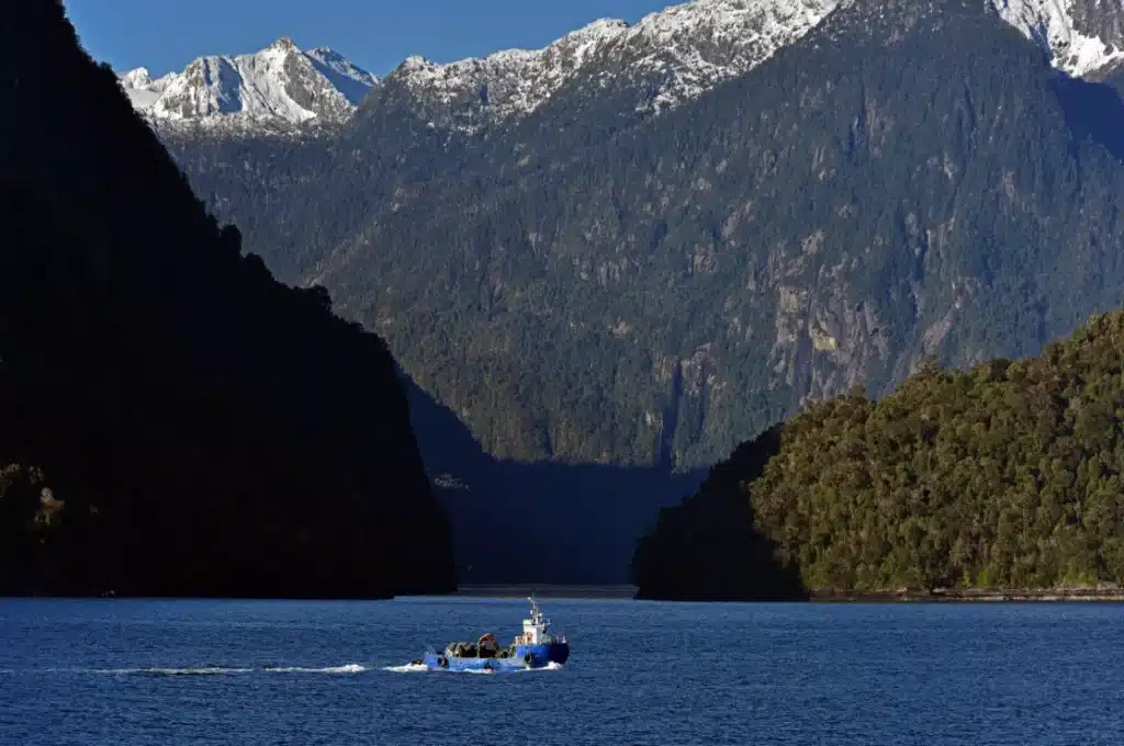 Alaska — Alaska glacier cruise summer