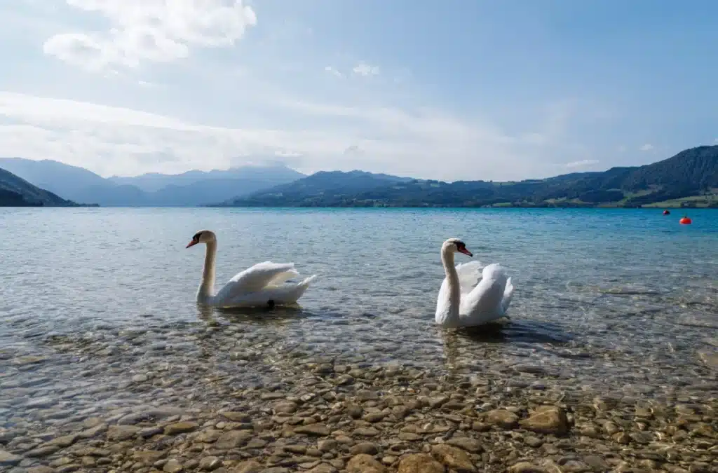 best places to visit in June