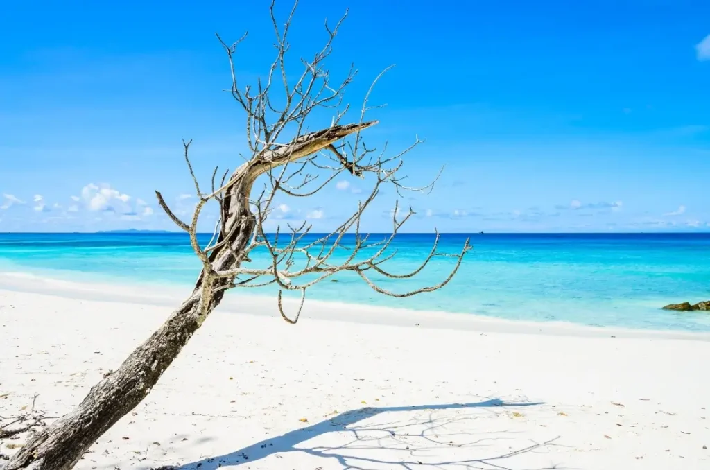 Aruba best time to travel