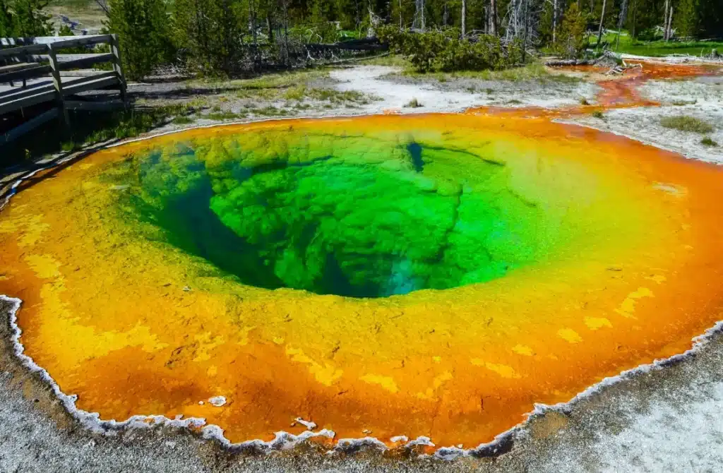 Yellowstone National Park — Yellowstone Grand Prismatic Spring summer