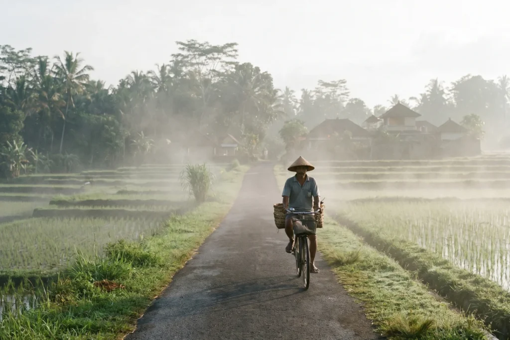 empty morning street in Ubud's rice field outskirts, 7am, single cyclist, mist rising from paddies, no crowds