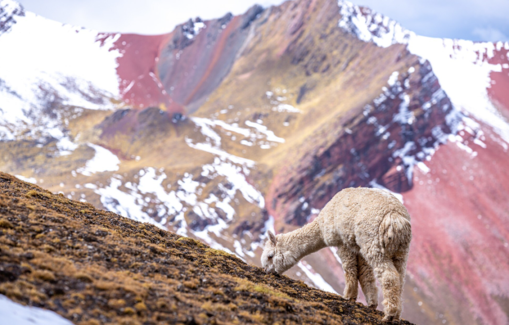 best places to travel peru