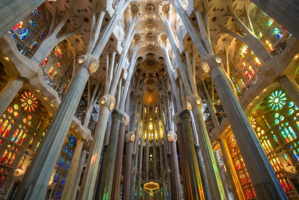 interior of La Sagrada Família, stained glass casting colored light across stone columns, upward perspective showing the branching ceiling structure, mid-morning light